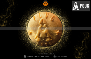 Portfolio_galeria_www - Template