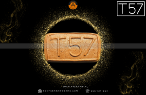 Portfolio_galeria_www - T57